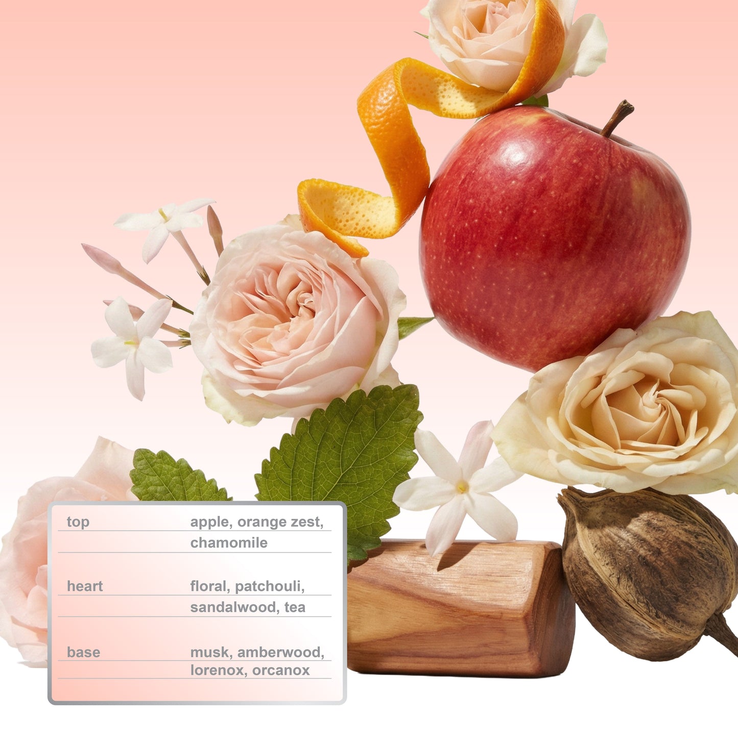 AURA Blush